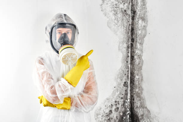 Best Mold Prevention Services  in Loch Sheldrake, NY